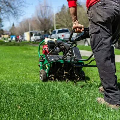 lawn aeration