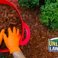 hands in a bucket of mulch