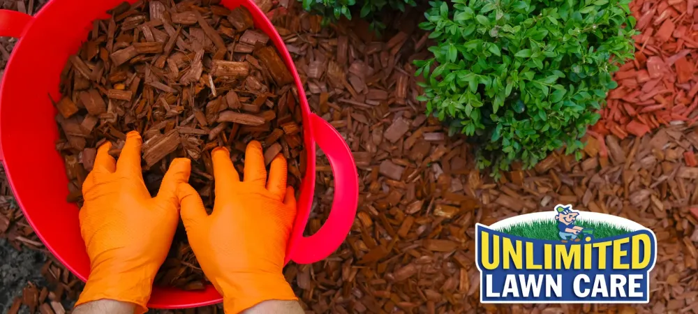 hands in a bucket of mulch