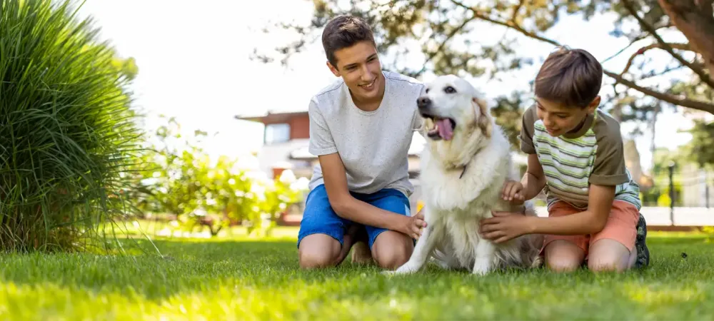 boys playing with dog in front lawn