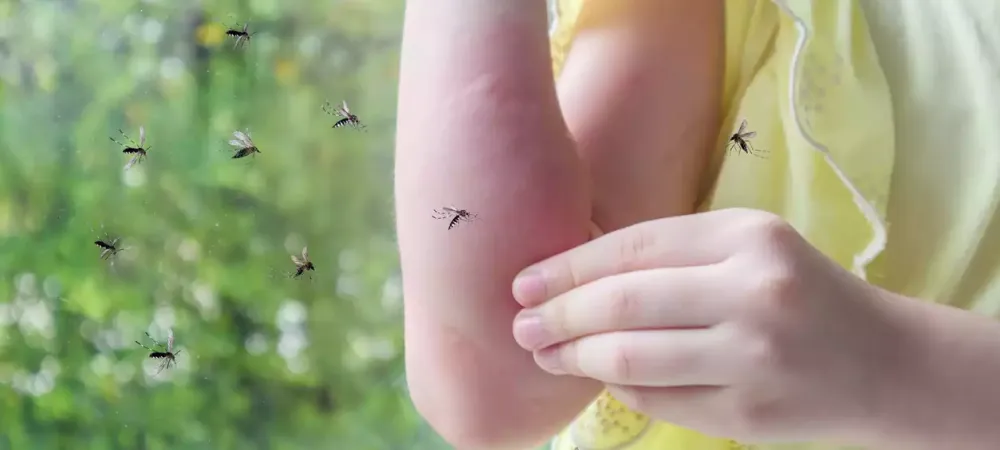 mosquitos-on-skin